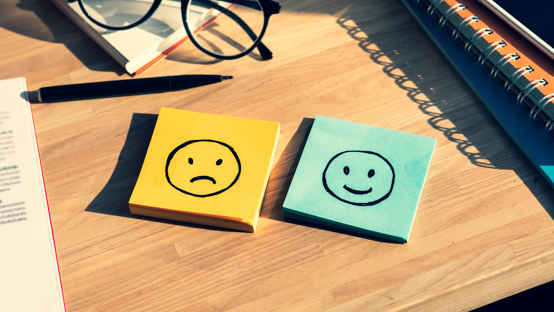 shutterstock 1644262624