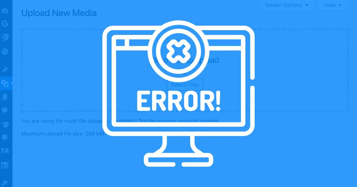 WordPress file errors