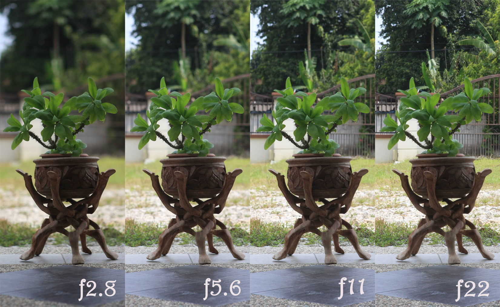 comparacao abertura camera